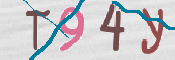CAPTCHA (Şahıs Denetim Kodu) Resmi
