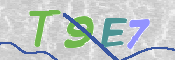 CAPTCHA (Şahıs Denetim Kodu) Resmi