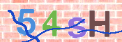 CAPTCHA (Şahıs Denetim Kodu) Resmi