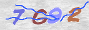 CAPTCHA (Şahıs Denetim Kodu) Resmi
