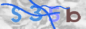CAPTCHA (Şahıs Denetim Kodu) Resmi