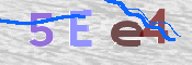 CAPTCHA (Şahıs Denetim Kodu) Resmi
