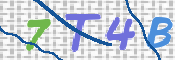 CAPTCHA (Şahıs Denetim Kodu) Resmi