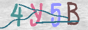 CAPTCHA (Şahıs Denetim Kodu) Resmi