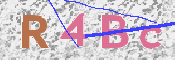 CAPTCHA (Şahıs Denetim Kodu) Resmi
