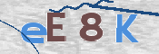 CAPTCHA (Şahıs Denetim Kodu) Resmi