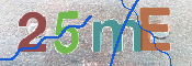 CAPTCHA (Şahıs Denetim Kodu) Resmi
