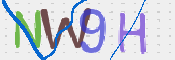 CAPTCHA (Şahıs Denetim Kodu) Resmi