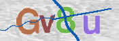 CAPTCHA (Şahıs Denetim Kodu) Resmi