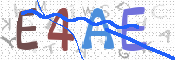 CAPTCHA (Şahıs Denetim Kodu) Resmi