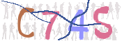 CAPTCHA (Şahıs Denetim Kodu) Resmi