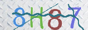 CAPTCHA (Şahıs Denetim Kodu) Resmi