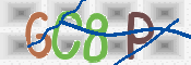 CAPTCHA (Şahıs Denetim Kodu) Resmi