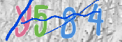 CAPTCHA (Şahıs Denetim Kodu) Resmi