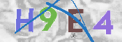 CAPTCHA (Şahıs Denetim Kodu) Resmi