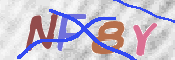 CAPTCHA (Şahıs Denetim Kodu) Resmi