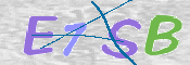 CAPTCHA (Şahıs Denetim Kodu) Resmi