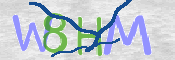 CAPTCHA (Şahıs Denetim Kodu) Resmi