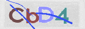 CAPTCHA (Şahıs Denetim Kodu) Resmi