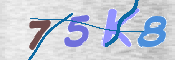 CAPTCHA (Şahıs Denetim Kodu) Resmi