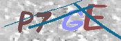 CAPTCHA (Şahıs Denetim Kodu) Resmi