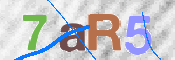 CAPTCHA (Şahıs Denetim Kodu) Resmi