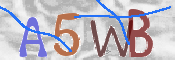 CAPTCHA (Şahıs Denetim Kodu) Resmi