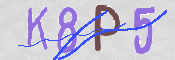 CAPTCHA (Şahıs Denetim Kodu) Resmi