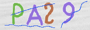 CAPTCHA (Şahıs Denetim Kodu) Resmi