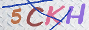 CAPTCHA (Şahıs Denetim Kodu) Resmi