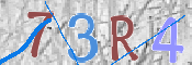 CAPTCHA (Şahıs Denetim Kodu) Resmi