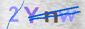 CAPTCHA (Şahıs Denetim Kodu) Resmi