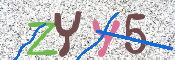 CAPTCHA (Şahıs Denetim Kodu) Resmi