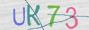 CAPTCHA (Şahıs Denetim Kodu) Resmi