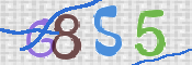 CAPTCHA (Şahıs Denetim Kodu) Resmi