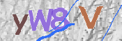 CAPTCHA (Şahıs Denetim Kodu) Resmi