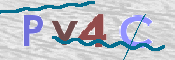 CAPTCHA (Şahıs Denetim Kodu) Resmi