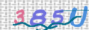 CAPTCHA (Şahıs Denetim Kodu) Resmi