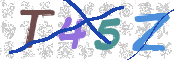 CAPTCHA (Şahıs Denetim Kodu) Resmi