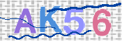 CAPTCHA (Şahıs Denetim Kodu) Resmi