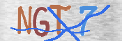 CAPTCHA (Şahıs Denetim Kodu) Resmi
