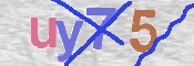 CAPTCHA (Şahıs Denetim Kodu) Resmi