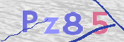 CAPTCHA (Şahıs Denetim Kodu) Resmi