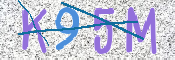 CAPTCHA (Şahıs Denetim Kodu) Resmi