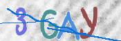 CAPTCHA (Şahıs Denetim Kodu) Resmi