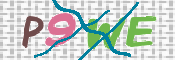 CAPTCHA (Şahıs Denetim Kodu) Resmi