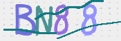 CAPTCHA (Şahıs Denetim Kodu) Resmi