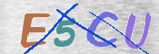 CAPTCHA (Şahıs Denetim Kodu) Resmi