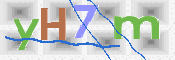 CAPTCHA (Şahıs Denetim Kodu) Resmi
