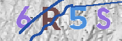 CAPTCHA (Şahıs Denetim Kodu) Resmi